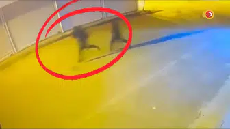 Diyarbakır'da suç örgütüne ağır darbe