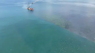İzmit Körfezi temizlendi deniz canlıları geri döndü