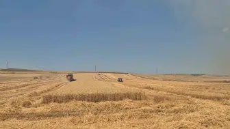 Tekirdağ’da alevlerin arasında hasat mücadelesi