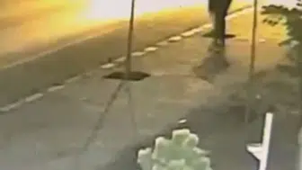 Patnos sokaklarındaki fidanları kıran şüpheli yakalandı