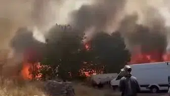 Diyarbakır Çarıklı'da tarım arazileri alevlere teslim oldu
