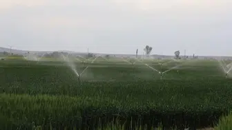 Konya çiftçisi yeraltı suyuna geç ulaştı Barajlar doldu
