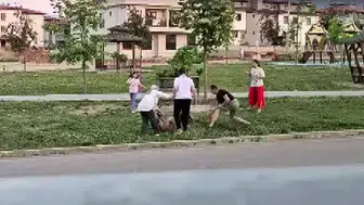 Denizli'de parkta dehşet anları Doktor saldırgan köpeği durdurdu