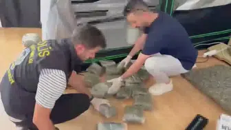 Beylikdüzü'ndeki daireyi uyuşturucu serasına çevirmişler