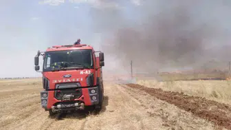 Nusaybin'de tarım arazilerindeki yangın büyümeden durduruldu