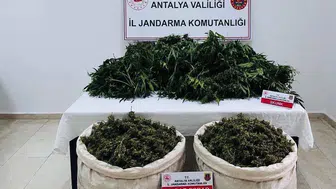 Serik jandarmasından uyuşturucuya büyük darbe