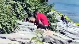 Avcılar sahilinde köpeğe şiddet anları kameraya yansıdı