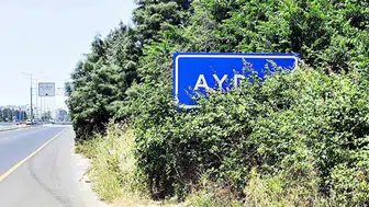 Aydın girişindeki şehir tabelası yabani otların altında kayboldu