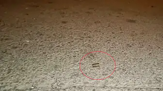 Yıldırım’da gece yarısı silahlı kavga