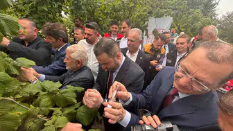 Trabzon'da fındık bahçelerini kurtaracak doğal ordu sahaya indi