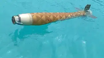 Sinop kıyılarında denizden çıkan şüpheli cisim alarmı