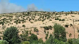 Diyarbakır Dicle’de ormanlık alanda yangın paniği