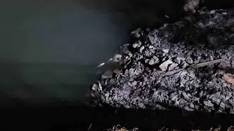 Bakırköy sahilinde yüzlerce balık kıyıya vurdu