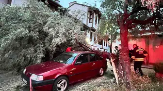 Eskişehir’de park halindeki aracın üzerine ağaç dalı devrildi