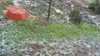Manisa Alaşehir’de dolu yağışı üreticiyi vurdu