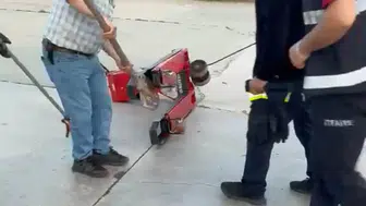 Tosya’da kapı fabrikasında davetsiz misafir paniği