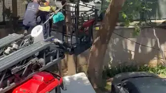 Kadıköy’de ağaçta mahsur kalan kediye itfaiye el uzattı
