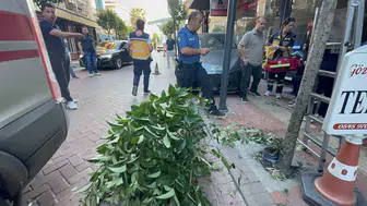 Amasra’da sürücü hatası Otomobil kaldırıma çıkıp ağaçları devirdi