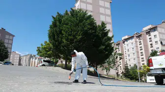 Osmangazi’de haşerelere karşı ilaçlama mesaisi başladı