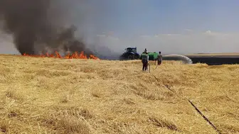 Diyarbakır'da devasa arazi yangını korku dolu anlar yaşattı