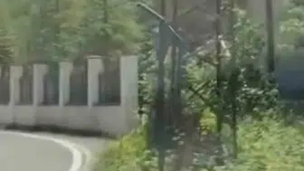 Trabzon'un dağ keçisi yolu şaşırdı