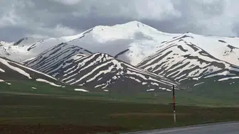 Van dağlarında bahar mevsimiyle birlikte zebra deseni dönemi başladı