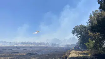 Çanakkale Kızılkeçili köyü yakınlarında çıkan yangın söndürüldü