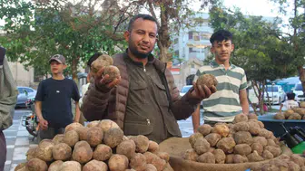 Urfa’da keme bereketi Kilosu 2 bin lirayı buluyor