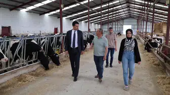 Beylikova’da hayvancılık yatırımları mercek altında