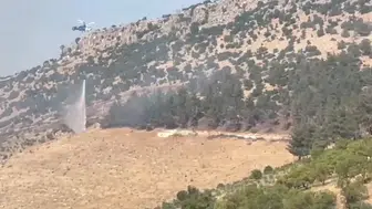 Nurdağı'nda zeytin bahçesinden sıçrayan alevler ormanı küle çevirdi
