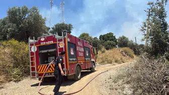 Bodrum Turgutreis’te korkutan yangın büyümeden söndürüldü
