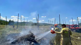 Bilecik'te anız ateşi ormana sıçramadan söndürüldü