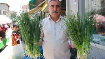 Van dağlarında şifalı ot hasadı bu yıl daha uzun sürüyor