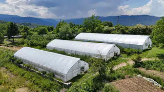 Ordu’da tarım seralarla büyüyor