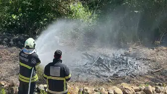 Antakya’da zeytin bahçeleri alevlere teslim oldu