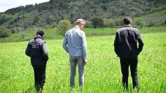 Manisalı çiftçinin tarlasında belediye desteği yeşerdi