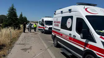 Bir arı yüzünden hayatlar karardı