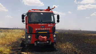 Mardin’de 300 dönüm tarla küle döndü
