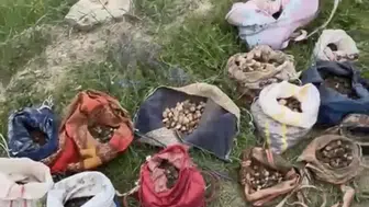 Çankırı'da 35 kilo salep toplayanlara 7 milyon liraya yakın ceza