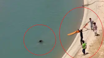 Batman'da sulama kanalında ölümden döndüler