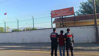 Nazilli'de silahlı yağmacı operasyonu