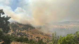 Diyarbakır kırsalında alevler tarım arazilerine sıçradı