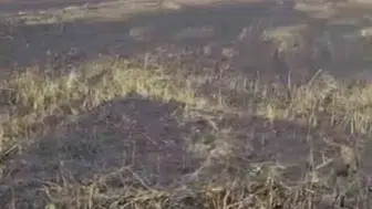 Siverek’te trafo yangını felaketi 200 dönüm yandı 3 kişi yaralandı
