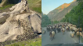 Hakkari’de yayla mesaisi yağış engeliyle gecikti