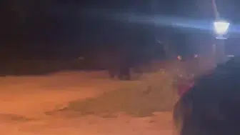 Düzce'de gece yarısı köy meydanına ayı indi