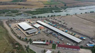 Erbaa hayvan pazarında çiçek hastalığı alarmı