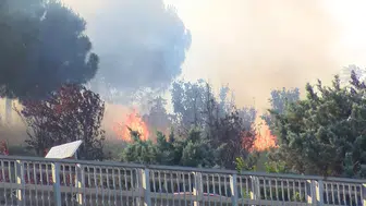 Kağıthane'de otluk alandaki yangın korkuttu