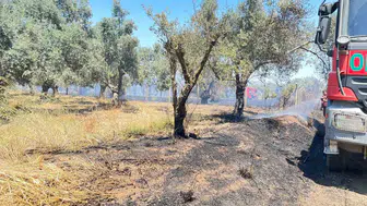 Bayındır’da tarım alanlarını tehdit eden yangın söndürüldü