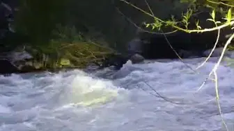 Bingöl’de nehir sularına kapılan Vedat Karabulut aranıyor