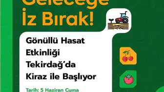 Tekirdağlı gençler kiraz bahçelerinde hasada destek verecek